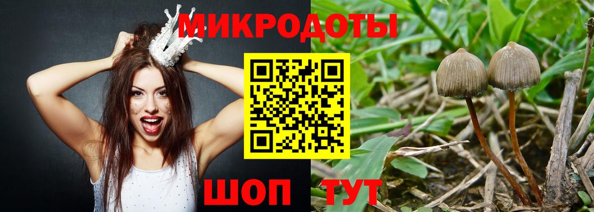 Галлюциногенные грибы Cubensis  Вход с VPN  Ноябрьск 